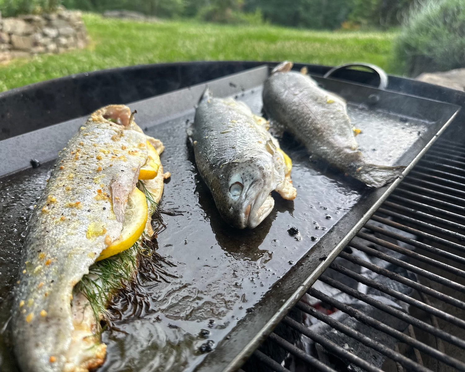 Carbon Steel Griddle