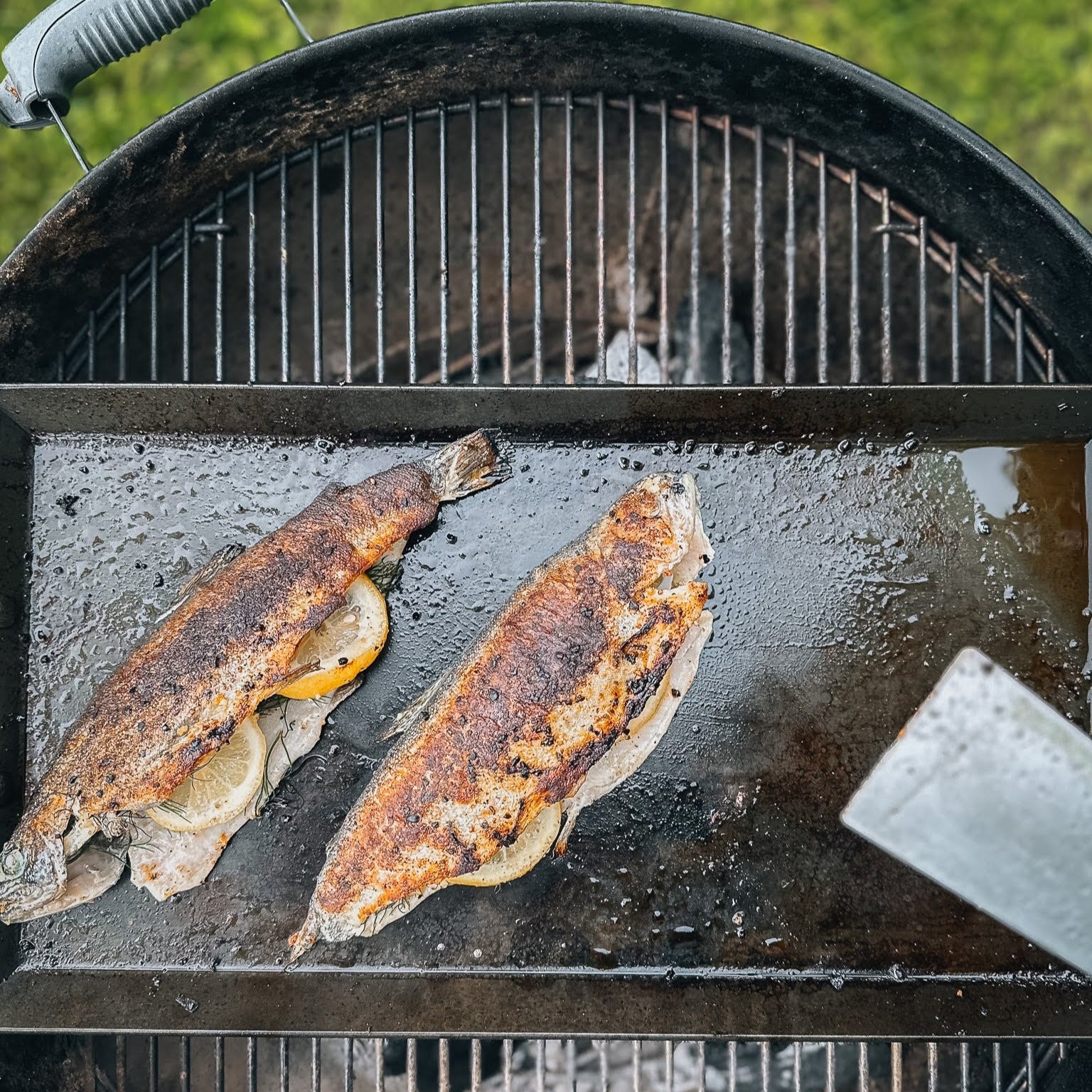 Carbon Steel Griddle