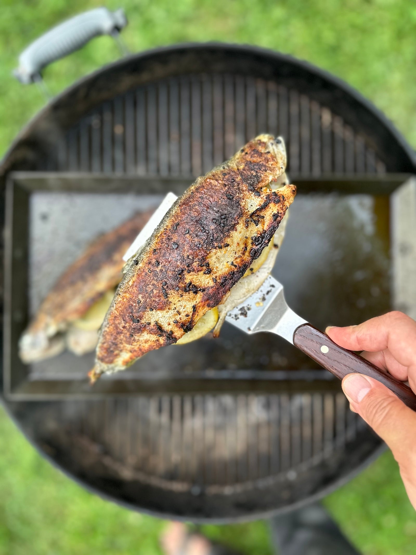Stainless Steel Spatula